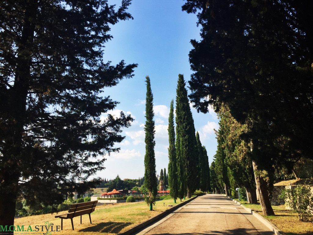 Fonteverde viale alberato