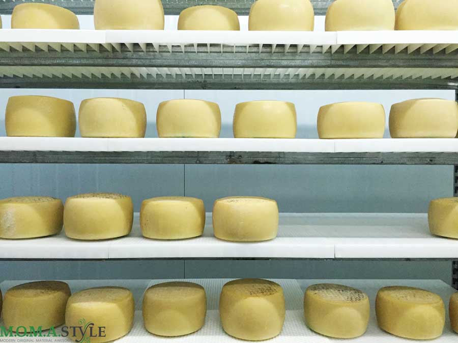 Produzione-formaggi-Fattorie-Cuscusa