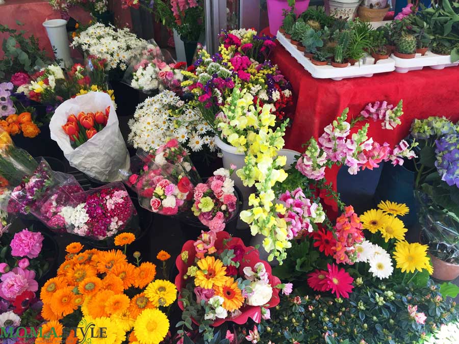 Trastevere-mercato-fiori