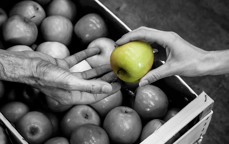 Buoni-un-milione-di-volte-Banco-Alimentare